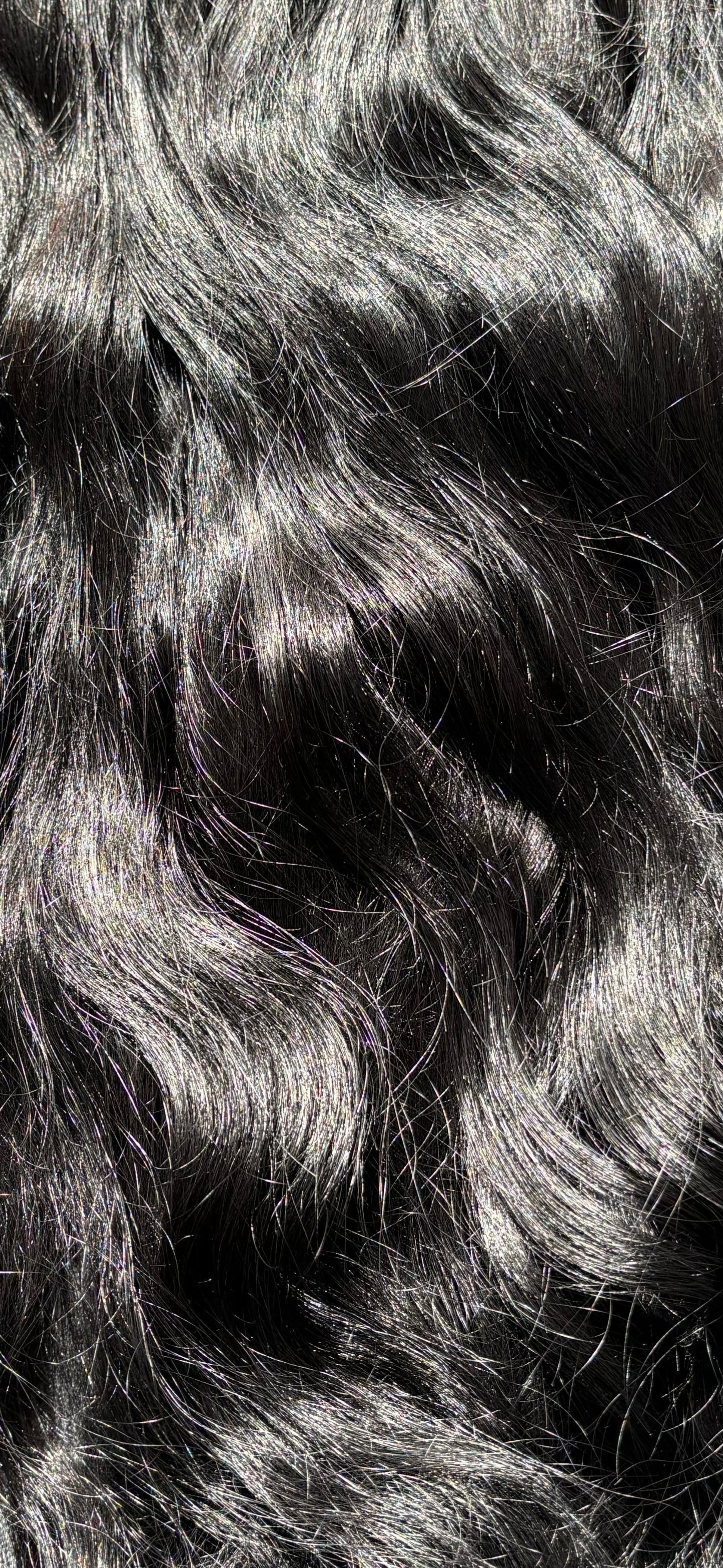 Natural Wavy Tape In Hair Extensions